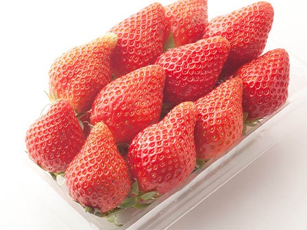 中部発 日帰り お得好きの方に捧げる平日限定大盤振る舞い特別企画!いちご狩り食べ放題といちご&野菜の詰め放題!3